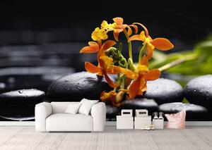 Fototapete, Contrast in culoare de piatra si floare. Art.01245