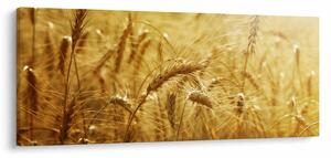 Tablou - Spice de cereale (120x50 cm)