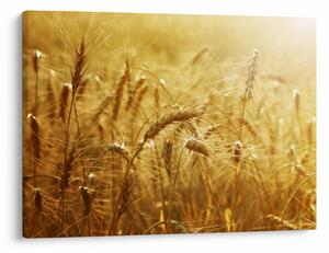 Tablou - Spice de cereale (70x50 cm)