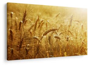 Tablou - Spice de cereale (90x60 cm)