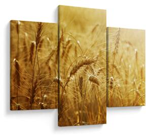 Tablou - Spice de cereale (90x60 cm)