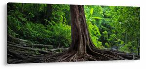 Tablou - Copac bătrîn cu rădăcini (120x50 cm)