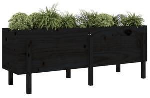 Strat înălțat de grădină, negru, 160x50x57 cm, lemn masiv pin