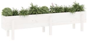 Strat înălțat de grădină, alb, 160x30x38 cm, lemn masiv de pin
