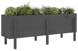 Strat înălțat de grădină, gri, 160x50x57 cm, lemn masiv de pin