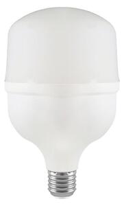 Bec LED T100 E27/30W/230V 4000K
