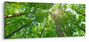 Tablou - Lunca (120x50 cm)