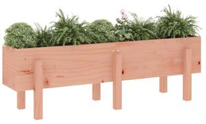 Strat înălțat de grădină, 121x30x38 cm, lemn masiv Douglas