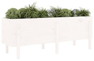 Strat înălțat de grădină, alb, 160x50x57 cm, lemn masiv de pin