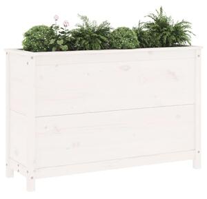 Strat înălțat de grădină, alb, 119,5x40x78 cm, lemn masiv pin