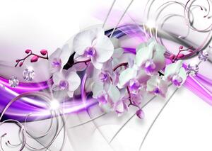 Fototapet. Rafinament Floral cu Orhidee Mov. Art.05223