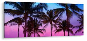 Tablou - Palmieri din Miami (120x50 cm)