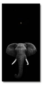 Ceas vertical de perete din sticlă elefant african