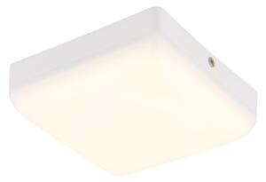 Plafonieră LED Globo 12388-8W MATTHEW LED/8W/230V alb