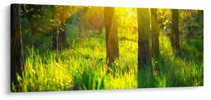 Tablou - Trezirea de primăvară a pădurii (120x50 cm)