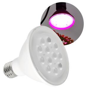 Bec LED pentru creșterea plantelor Brilagi VITABLOOM E27/9W/230V 1200K alb