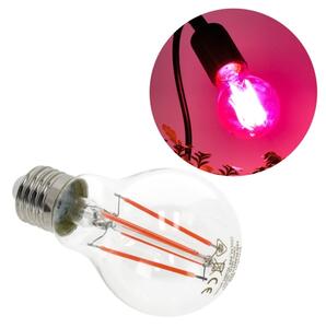 Bec LED pentru creșterea plantelor Brilagi VITABLOOM E27/8W/230V 1200K