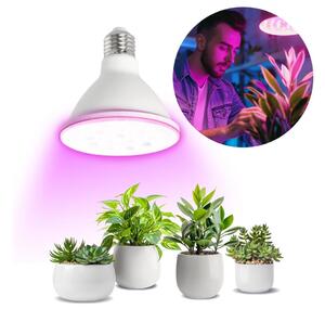 Bec LED pentru creșterea plantelor Brilagi VITABLOOM E27/9W/230V 1200K alb