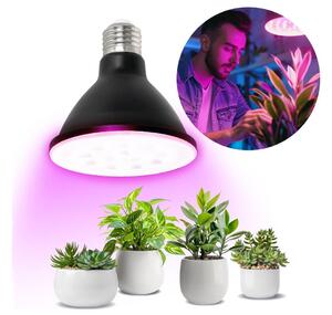 Bec LED pentru creșterea plantelor Brilagi VITABLOOM E27/9W/230V 1200K negru