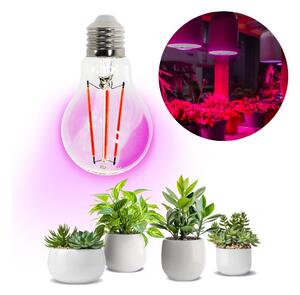 Bec LED pentru creșterea plantelor Brilagi VITABLOOM E27/8W/230V 1200K