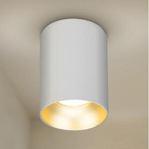 Spot Brilagi TRINE 1xGU10/30W/230V alb/auriu