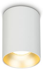 Spot Brilagi TRINE 1xGU10/30W/230V alb/auriu