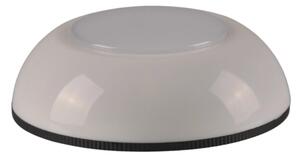 Iluminare LED RGBW mobilă LED/0,5W/4,5V 3xAAA alb + DO