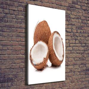 Print pe canvas nucă de cocos
