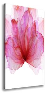 Tablou pe pânză canvas floare roz