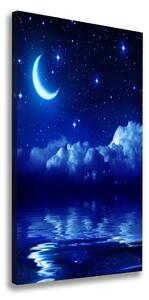 Tablou pe pânză canvas Cerul de noapte