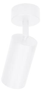 Spot Brilagi SELE 1xGU10/30W/230V alb