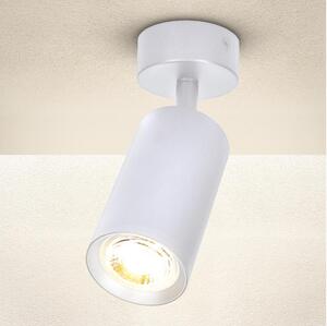 Spot Brilagi SELE 1xGU10/30W/230V alb