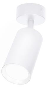 Spot Brilagi SELE 1xGU10/30W/230V alb