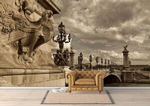 Fototapet. Podul Alexandru III peste Sena, Paris. Imagine Vintage. Art.060092