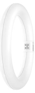Tub LED fluorescent Osram G10q/11W/230V 6500K
