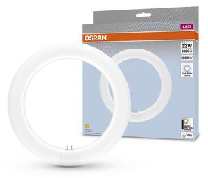 Tub LED fluorescent Osram G10q/11W/230V 4000K