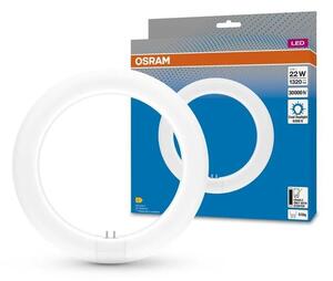 Tub LED fluorescent Osram G10q/11W/230V 6500K