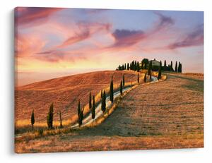 Tablou - Casa pe deal Toscana, Italia (70x50 cm)
