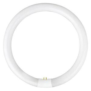 Tub fluorescent YH G10q/28W/230V 6500K - Fulgur 03045 d. 23 cm