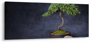 Tablou - Bonsai (120x50 cm)