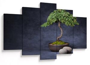 Tablou - Bonsai (150x105 cm)