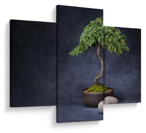 Tablou - Bonsai (90x60 cm)