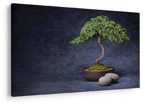 Tablou - Bonsai (90x60 cm)