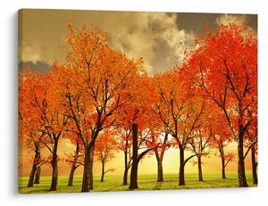 Tablou - Toamna (70x50 cm)