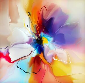 Fototapet, Floare multicolora Art.020053