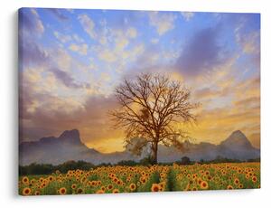 Tablou - Peisaj cu floarea soarelui (70x50 cm)