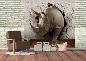Fototapet 3D. Rinocer spargand peretele. Art.030183