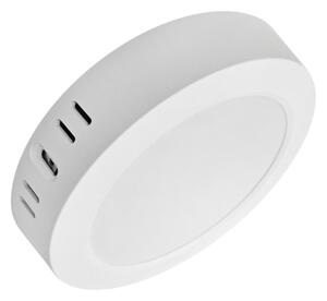 Plafoineră LED ROUND LED/12W/230V 4000K d. 16,7 cm alb