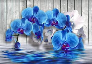 Fototapete 3D, Orhidei albastre pe fundal din lemn Art.05318
