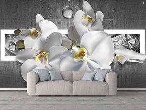 Fototapet 3D, Orhideea alba pe un fundal gri Art.05348